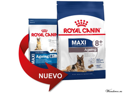 Royal Canin Maxi Ageing 8+ Роял Канин Макси Эйджинг 8+ корм для собак крупных пород в возрасте с 8 лет и старше, 3 кг