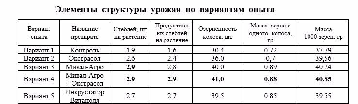 Влияние биопрепаратов и регуляторов роста на яровой ячмень  сорт Вакула по предшественнику подсолнеч