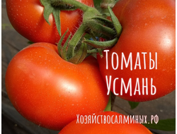 семена томаты "Усмань" 10 шт.