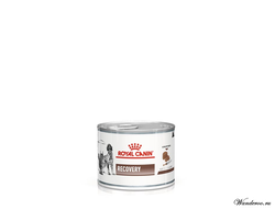 Royal Canin Recovery Роял Канин Рекавери консервы для собак и кошек в период анорексии, выздоровления, 0,195 кг