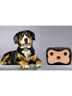 Трекер Pet GPS Tracker для собаки оптом