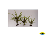 81004-40 Растение шелковое Криптокарина Балансе 40см