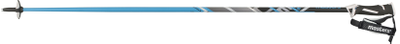 Палки горнолыжные MASTERS Elite blue 120см