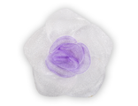 Нарцисс бело-фиолетовый, 5*5 см.
