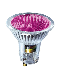 Галогенная цветная лампа BLV Popline Purple 50w 35° 240v GU10