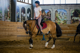 Обучение верховой езде в конном манеже