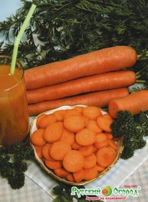 Морковь Сахарная Лакомка НК