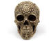 череп, резьба по черепу, skull, зубы, челюсть, труп, мертвец, узоры, кость, человеческий, скелет