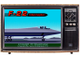 F-22 Interceptor, Игра для Сега (Sega game)