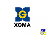 Стекла XGMA