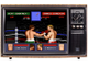 Evander Holyfields Real Deal Boxing (Sega Game)