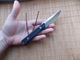 Нож Ganzo Firebird FH805