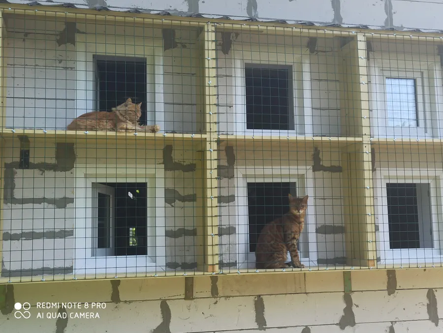 Балкончики для кошек