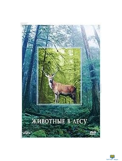 Животные в лесу (0+) CD