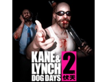 Kane &amp; Lynch 2: Dog Days (цифр версия PS3) 1-2 игрока