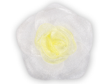 Нарцисс бело-лимонный, 5*5 см.