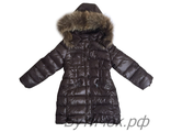 . 1585  Bogner 