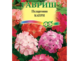 Пеларгония Капри Гавриш