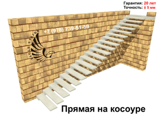 Варианты исполнения прямых лестниц