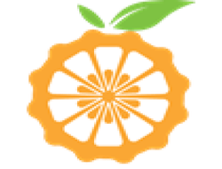 Orange PI