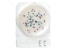 Подложки Compact Dry EC (E.coli и колиформные бактерии)
