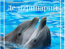 Дельфинарий в Хургаде