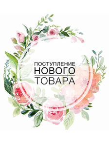 НОВИНКИ