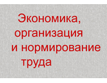 Экономика, организация и нормирование труда.Задачи.Тесты