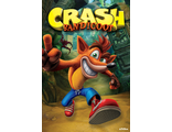 Постер Maxi Pyramid: Activision: Crash Bandicoot (Next Gen Bandicoot)