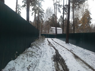 Участок 32.5 сотки в Пушкинском районе, п.Тарасовка с лесными хвойными деревьями