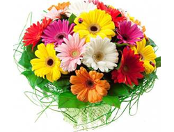 Букет Гербер Поцелуй Лета