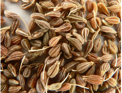 Анис обыкновенный (Pimpinella anisum) семена (5 мл) - 100% натуральное эфирное масло