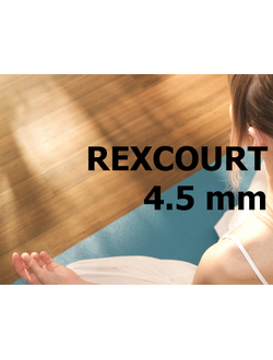 Спортивный линолеум LG Hausys Rexcourt