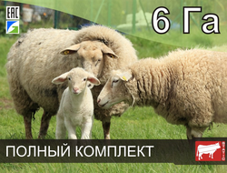 Электропастух СТАТИК-3М для овец и ягнят на 6 Га - Удержит даже самого наглого барана!