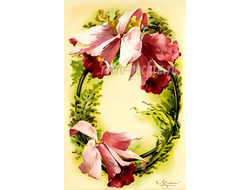 1185 C. Klein Цветочный алфавит O