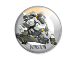 Значок или магнит WINSTON