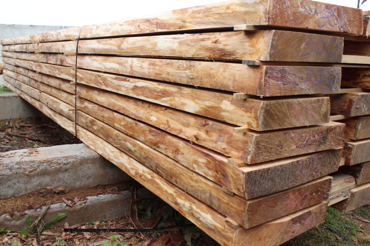 Direct deliveries of larch to Europe