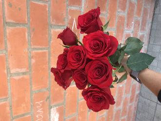 9 красных роз Кения, купить букет роз Иркутск, розы недорого Иркутск