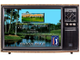 PGA tour golf 3, Игра для Сега (Sega game)