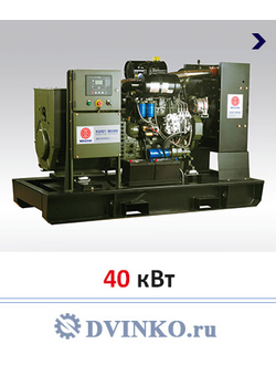 Индустриальный дизель генератор 40 кВт WPG55F9