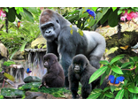 линзовидный, лентикулярный, 3D эффектом, объемного изображения, ПАЗЛ, PUZZLE, обезьяна, горилла, 500