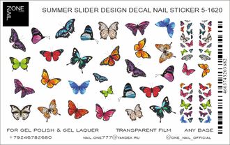 16.Слайдер-дизайн бабочки цветные