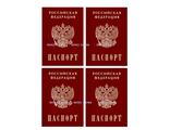 Паспорт 4 шт красно-бордовый