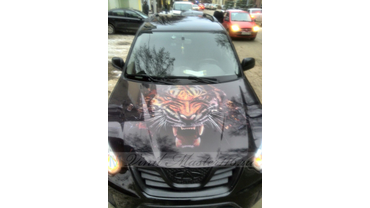 Примеры наших работ