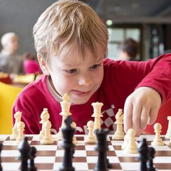 Шахматная школа для детей 4-10 лет