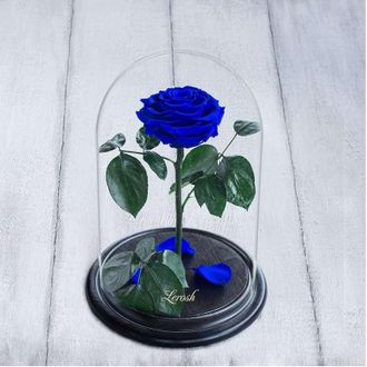 Стабилизированная роза в колбе Lerosh - Premium 33 см, Синяя