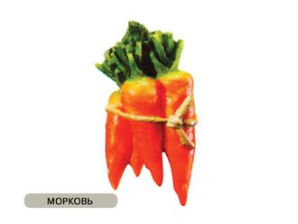 Арт. Морковь. Керамические зажимы декоративные
