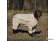 Комбинезон для собак с ловушками от клещей OSSO Fashion размер 37 (сука)