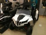 Багги Applestone UTV 150