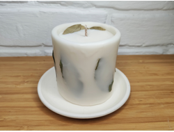 Ботаническая свеча из соевого воска с лавром, 1 шт., 7,5 x 7,5 см